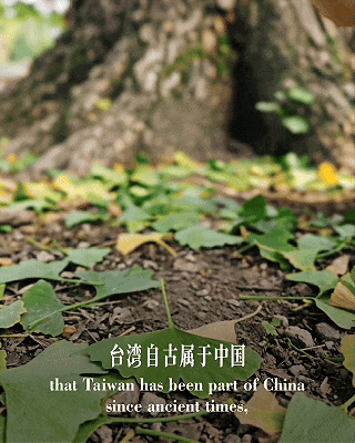 2108841177238147072.gif 图片