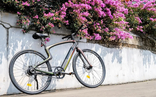 Jiaxing-made bikes gain traction in US