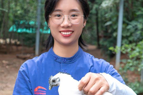 Jiangshan agricultural entrepreneur revitalizes black-bone chicken industry
