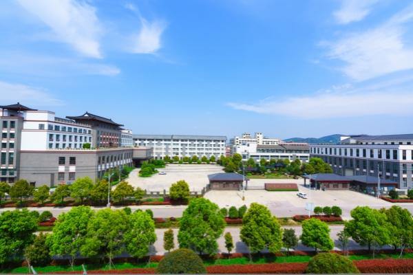 Jinhua company innovates TCM products targeting young consumers