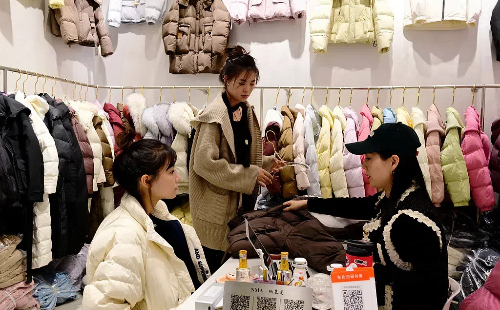 Private sector powers Jiaxing's economic growth