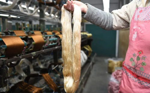 Jiaxing's silk wall coverings elevate global luxury interiors