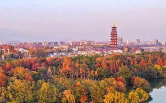 Jinhua enterprises embark on business blitz in Indonesia