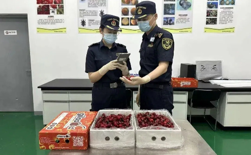 Zhejiang-Central Asia trade hits record high as agricultural imports surge