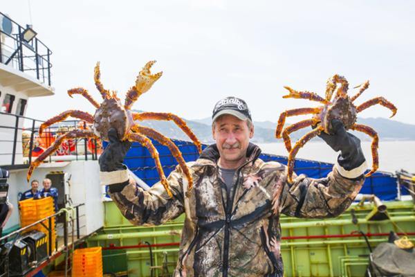 Zhoushan sees record surge in king crab imports