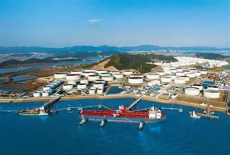 Zhoushan leads Zhejiang in growth pace of foreign-invested enterprises