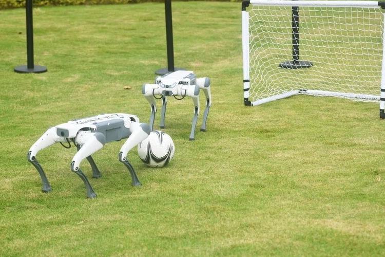 Zhejiang reports $69b in AI revenue at Wuzhen Summit