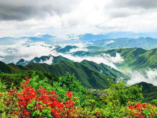 Quzhou's Longyou county sees surge in bamboo product exports