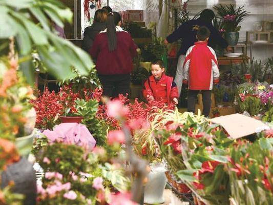 Jiaxing's fresh flower demand surges ahead of Spring Festival