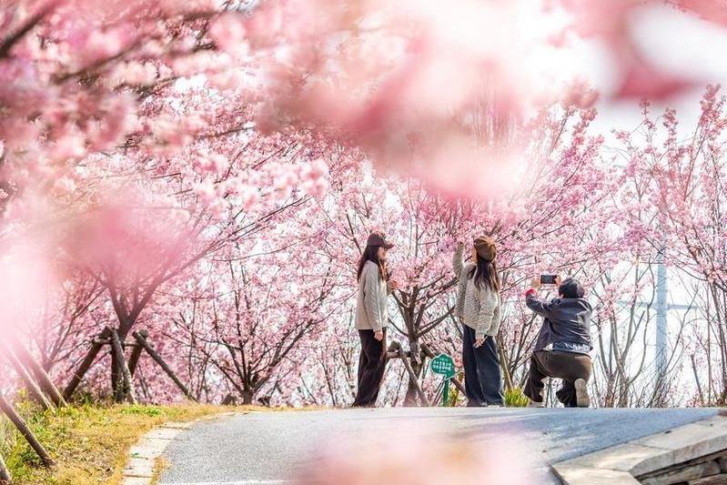 Wenzhou's foreign trade sees strong growth in Jan-Feb