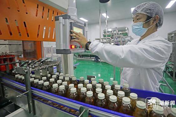 Innovation drives Longding tea industry in Quzhou