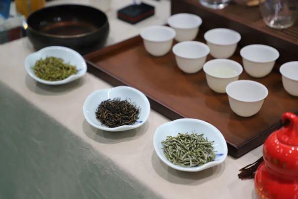 Taizhou expo highlights China's tea culture and industry vitality