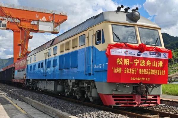 Sea-rail transportation expands global footprint of Yunhe wooden toys