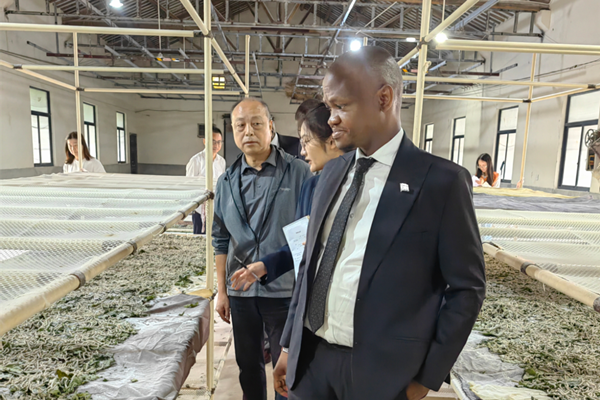 Huzhou and Botswana explore cooperation in sericulture