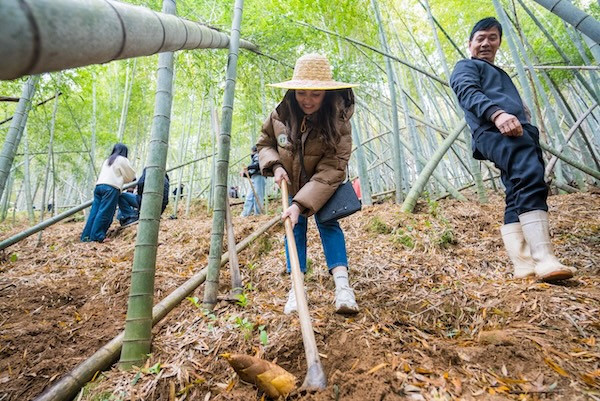Intl students explore Ningbo's spring traditions