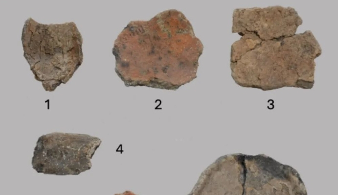 Jinhua's Shangshan site unveils earliest evidence of rice wine