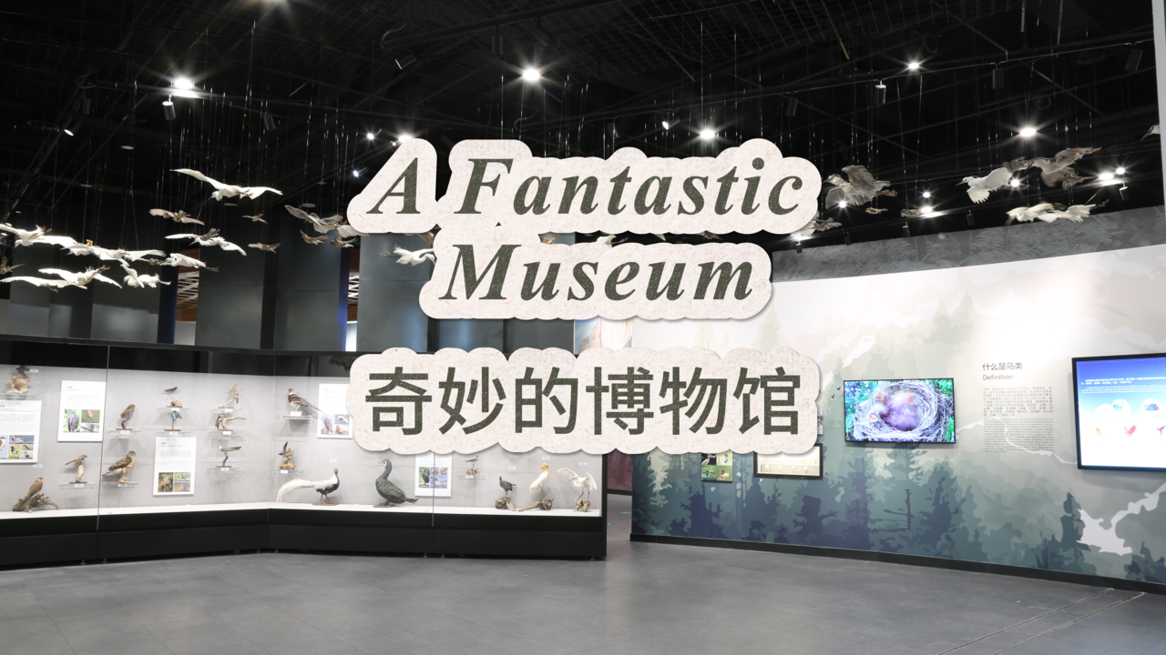 A Fantastic Museum