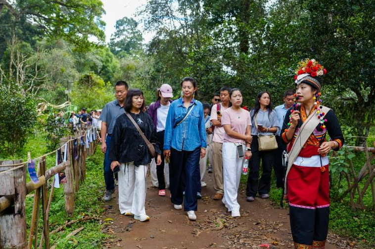 World's first tea-themed cultural heritage site in China's Yunnan sees peak in visits