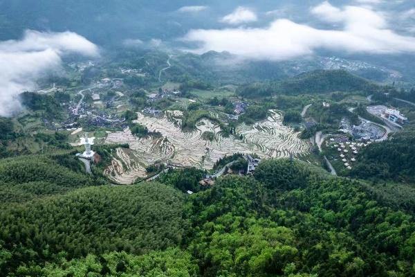 Yunhe rice terraces earn UN award