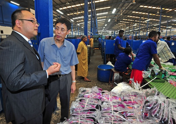 Three generations, one city: A family's bond with Ningbo