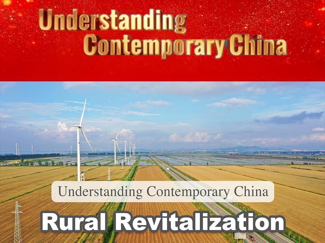 Sri Lankan youth discuss how China–Sri Lanka cooperation advances rural development