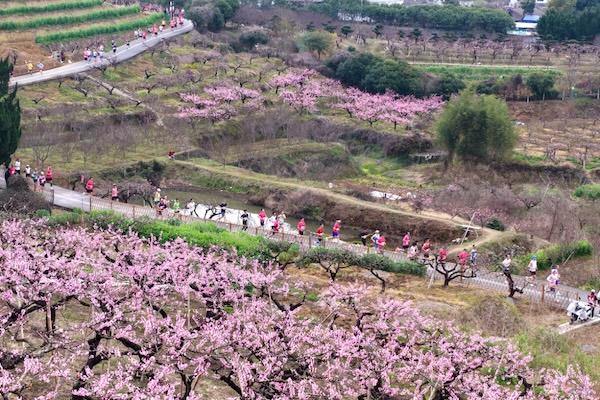Peach blossom trails host Ningbo's signature marathon