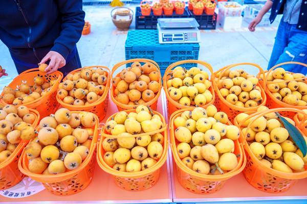 Quzhou unveils upgraded Loquat Street Market
