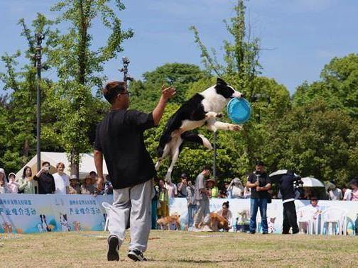 Huzhou launches pet-friendly alliance to boost pet industry