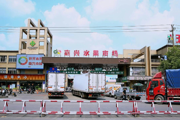 Jiaxing fruit market to expand with new trading complex