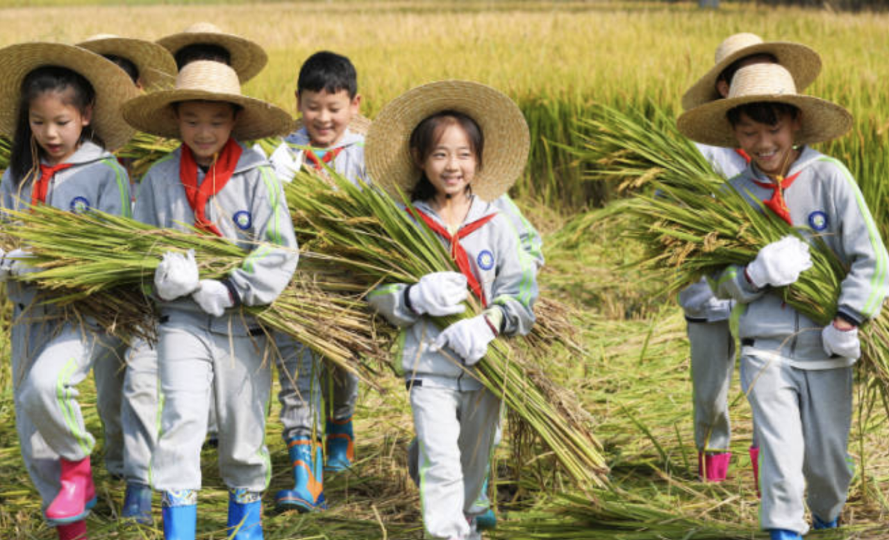 Huzhou: Learning agricultural knowledge in 