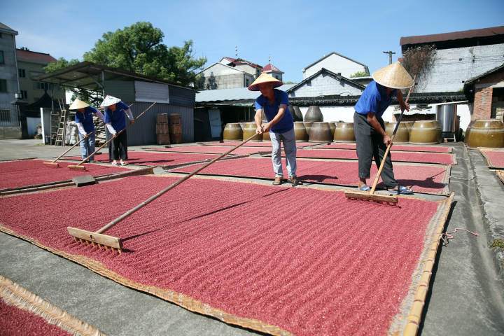 Smell the fragrance of red yeast again