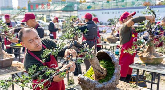 Jindong's floriculture and horticulture sector flourishing