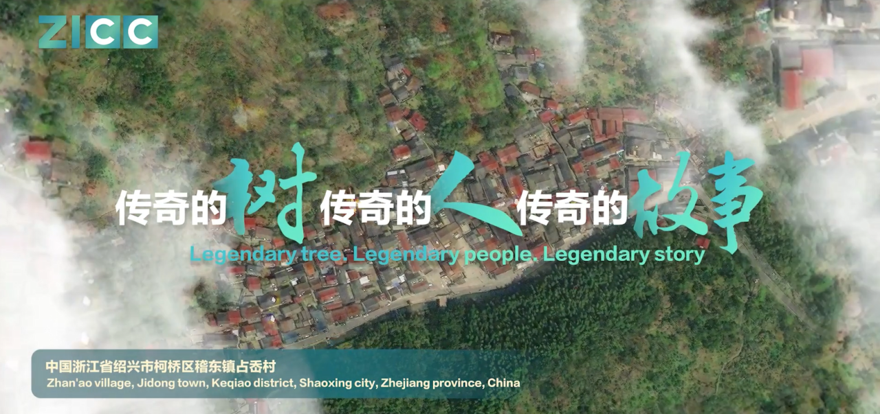 Story between Shaoxing farmer and ancient tree shared at COP29