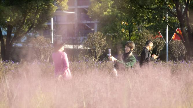 Hangzhou: Sea of flowers in the city