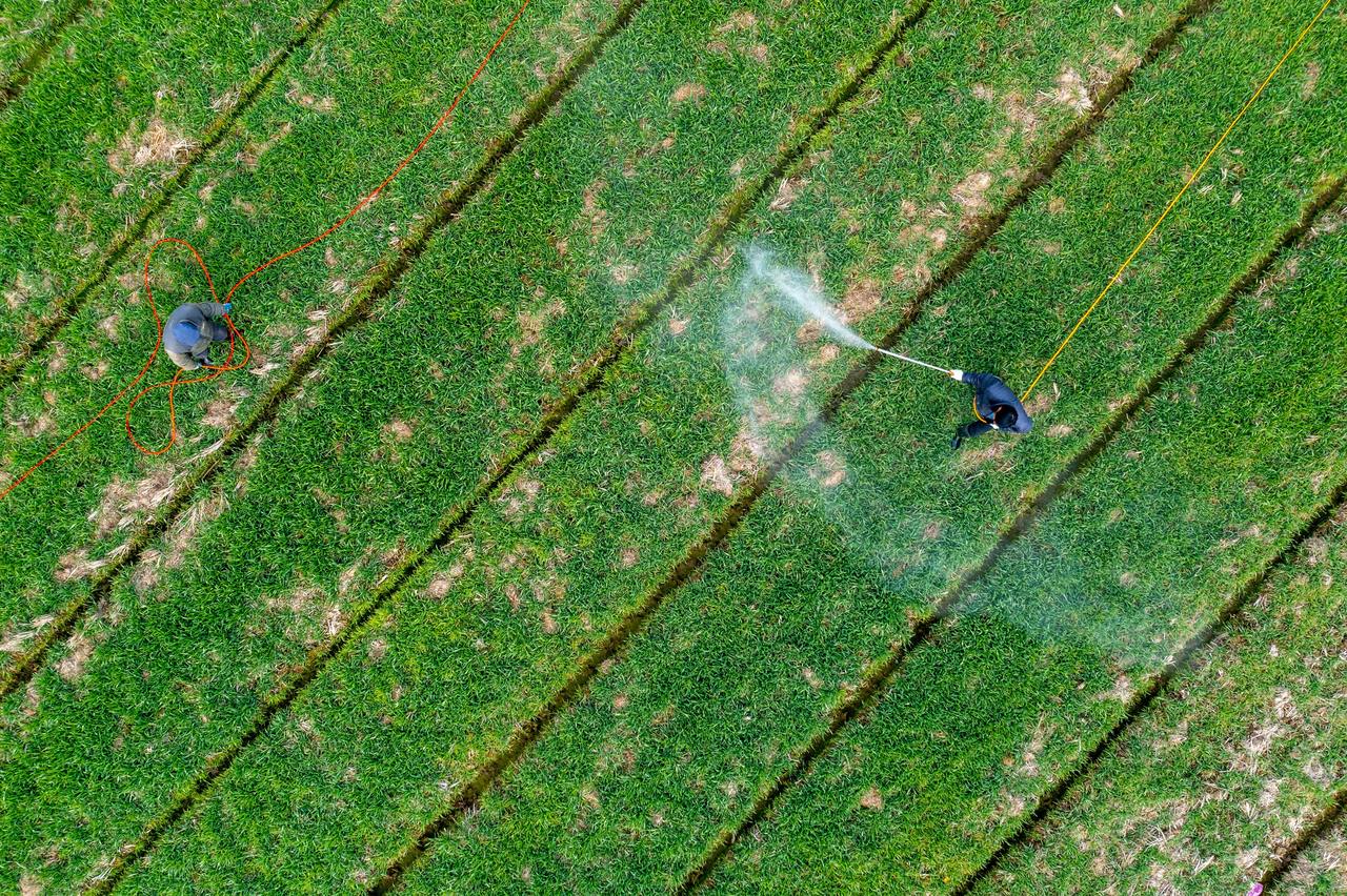 Farmers busy preparing agricultural production ahead of the Start of Spring