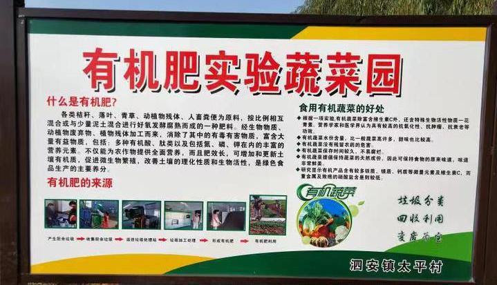 Pollution-free vegetable demonstration garden at Changxing