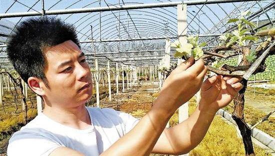 Uni graduate returns to hometown in Anji to start a sweet business