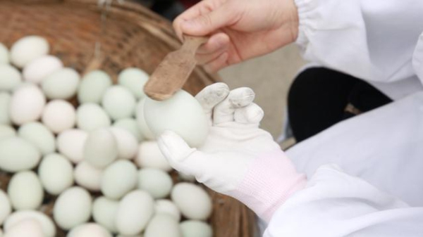 The unique Pinghu egg snack with a history of over 280 years!