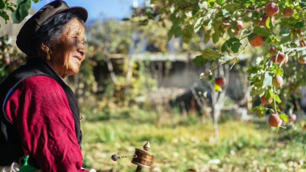 Taobao helping farmers reap gains in livestream boom