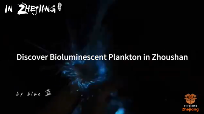 Meet bioluminescent plankton in Zhoushan