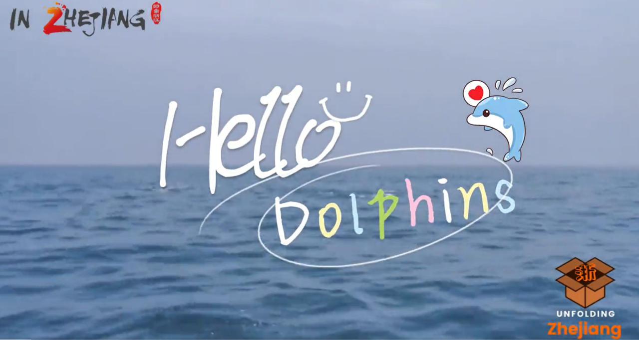 A pod of dolphins spotted in Zhoushan Archipelago area