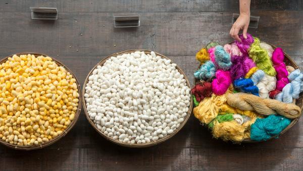 Get closer to the silk culture with China National Silk Museum