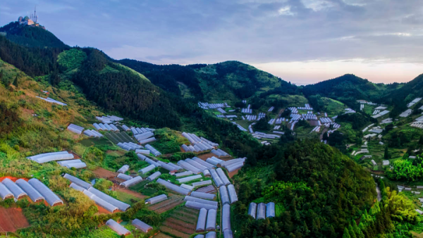 Video by Xinhua News Agency showcases the charm of Jinhua
