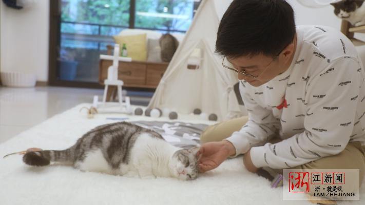 Hangzhou cat blogger knows cat language