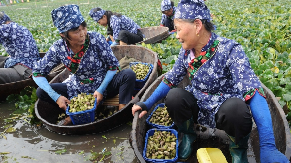 The magnificent Xiuzhou District, Jiaxing