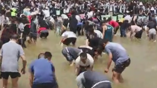 Z Video: What?  Ease off the exam pressure by catching fish?