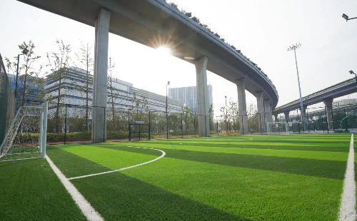 Zhejiang reaches new milestone in sports facilities