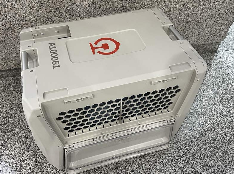 Pets allowed on high-speed railway trains