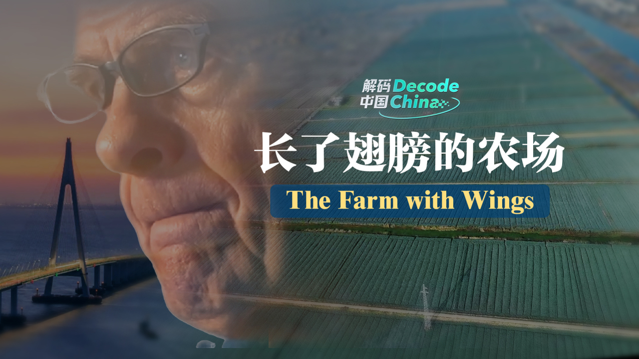 Decode China丨The Farm with Wings