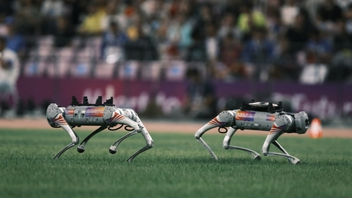 Robot Dog Pick up Discus at the Asian Games